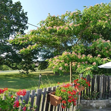 Un Gite De Charme En Haute Provence Vila Sigoyer  Exterior foto