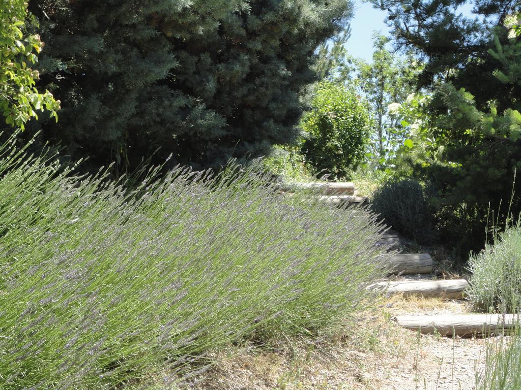 Un Gite De Charme En Haute Provence Vila Sigoyer  Quarto foto